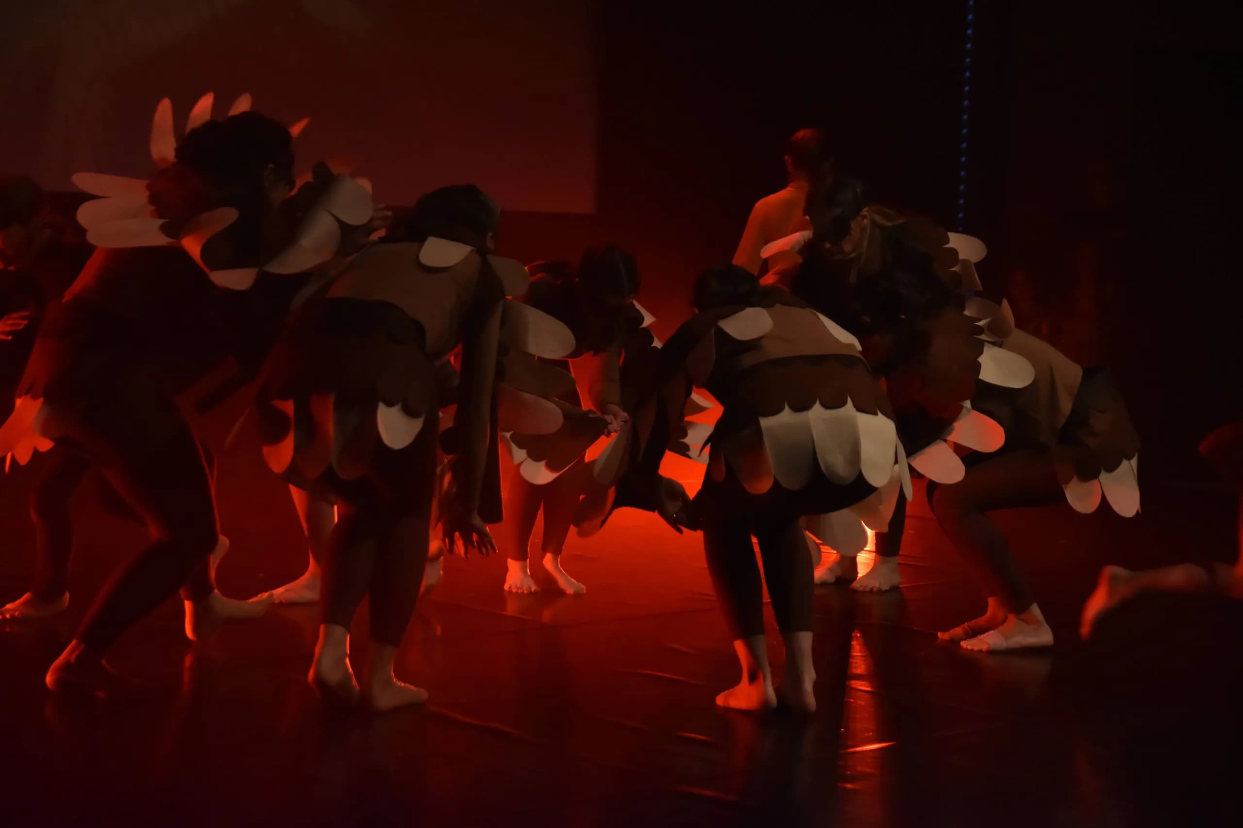 Spectacle de danse modern jazz 2024 — photo 19