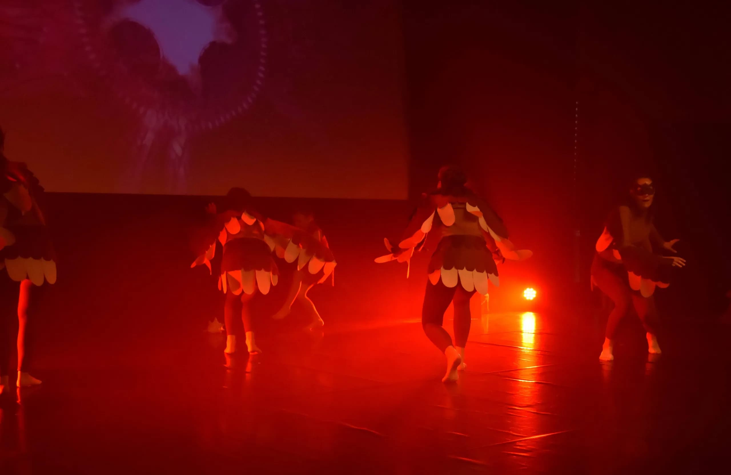 Spectacle de danse modern jazz 2024 — photo 20